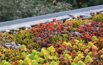 the cost of Slip End green roof installation
